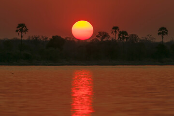 Obraz premium African sunset over Zambeze river