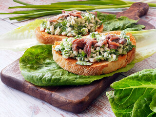 Toasts with cottage cheese or ricotta, anchovy and herbs on the background of tomatoes, fresh...