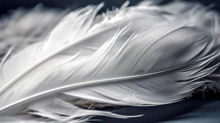 Soft and gentle theme, white feathers background, generative AI.