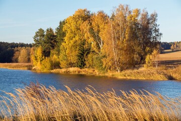 Fototapeta na wymiar autumn view of pond and colorful autumnal forest