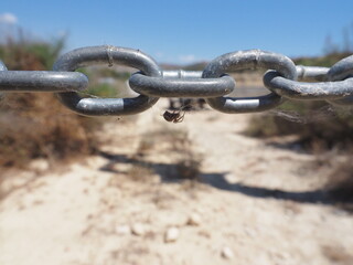 Araña en cadena con telaaraña