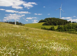Fototapeta premium wind power plants and springtime meadow