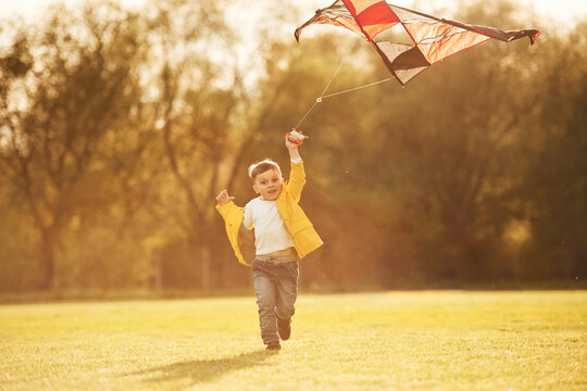 Amazing sunlight. Little boy is playing with a kite on the field at summer time