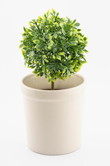 緑の葉　植物　フェイクグリーン