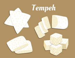Raw tempeh Illustration with various slices style. Indonesian food vector
