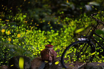 Fireflies flicker and flutter around the fish basket and the old bicycle. They live in places with good ecological environment. Summer breeding season.