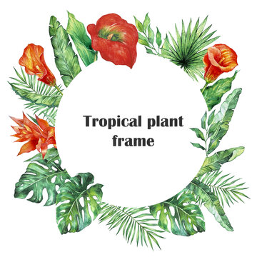Round frame with watercolor tropical flowers and leaves. Watercolor illustration of exotic summer plants. Hand painted template for invitation, wedding, greeting card and party design.