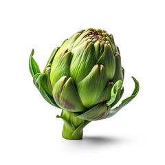 Fototapeta premium Fresh purple artichoke isolated on white background