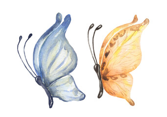 Watercolor butterfly illustration set, insect clipart, moth