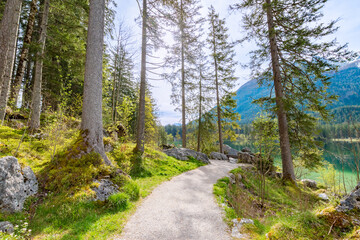 Footpath toward the Zauberwald in Ramsau next to the lake Hintersee (Bavaria, Germany)