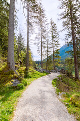 Footpath toward the Zauberwald in Ramsau next to the lake Hintersee (Bavaria, Germany)