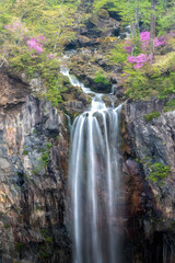 栃木県日光市　イワツバメが舞う初夏の華厳の滝