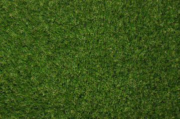 Obraz premium Green grass background