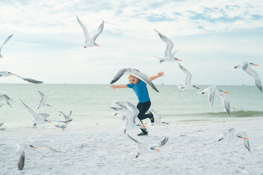 Kid playing in summer beach. Child run on the seagulls on the beach, summer time. Cute little boy chasing birds near sea on summer day.