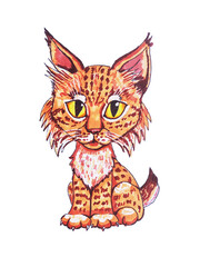 Little lynx. Hand drawn illustration isolated.