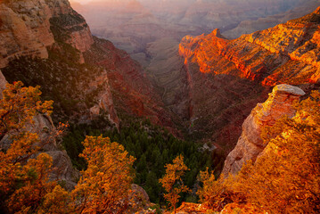 Grand Canyon north rim at sunset, Arizona. Panorama of canyon desert. Rock landscape. Monument...