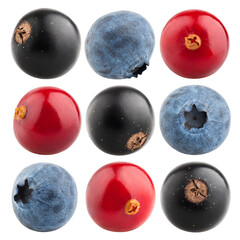 berries, cranberry, blueberry, black currant, isolated on white background, full depth of field