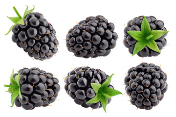 Blackberry isolated on white background, full depth of field