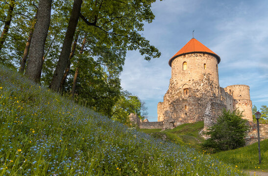 View to Medieval Livonian castle tower in oldest Latvian town Cesis at spring