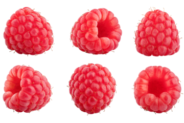 Raspberry isolated on white background, full depth of field