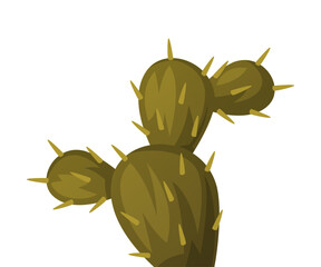 Cacti or Cactus Plant as Succulent Flora Vector Illustration