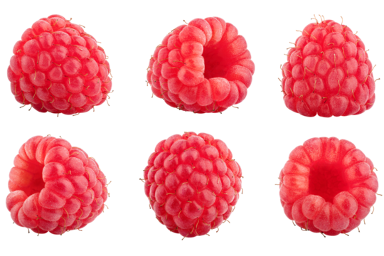 Raspberry isolated on white background, full depth of field