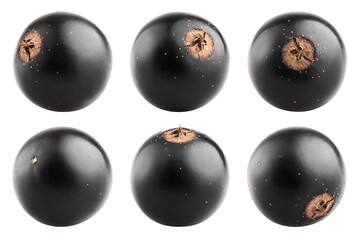 Black currant isolated on white background, full depth of field