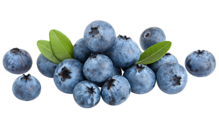 blueberry, isolated on white background, full depth of field