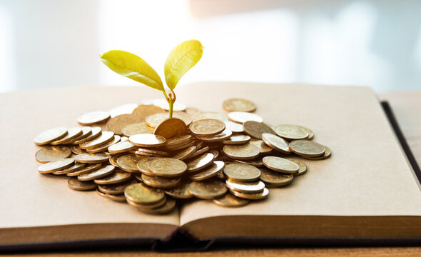 Seedling growing from books with coins