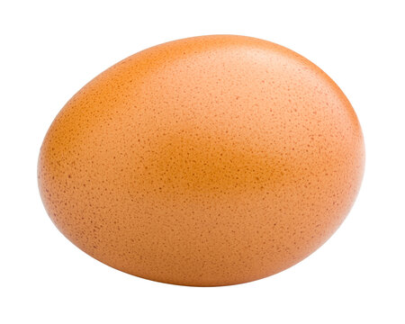 chicken egg, isolated on white background, full depth of field