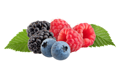 wild berries mix, raspberry, blueberries, blackberries isolated on white background, full depth of field