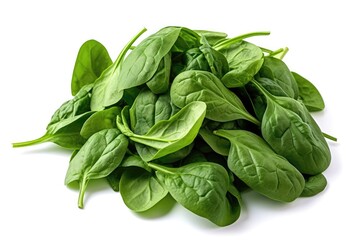 Spinach On A White Background Without Shadows. Generative AI