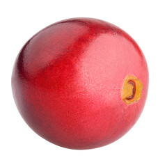 Cranberry isolated on white background, full depth of field
