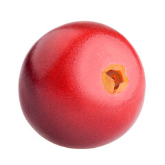 Cranberry isolated on white background, full depth of field