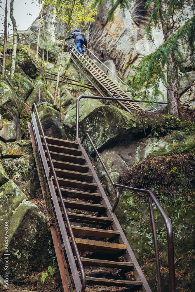 Canvas Prints Stairs to ruins of Strmen Castle in Adrspach-Teplice Rocks park near Teplice nad Metuji town in Czech Republic