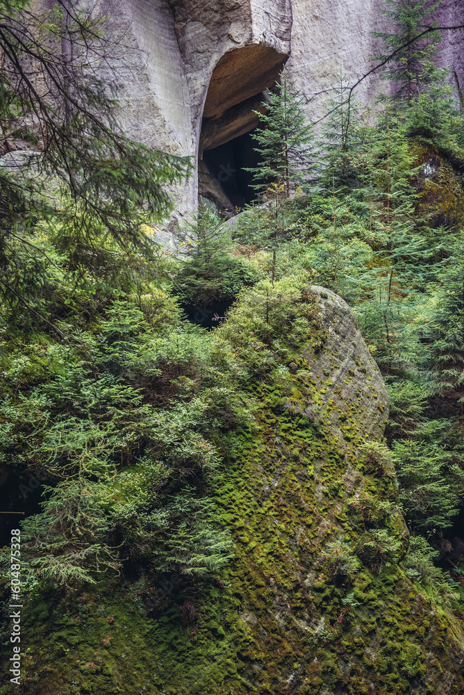 Sticker Rock covered with moss in Adrspach-Teplice Rocks park near Teplice nad Metuji town in Czech Republic