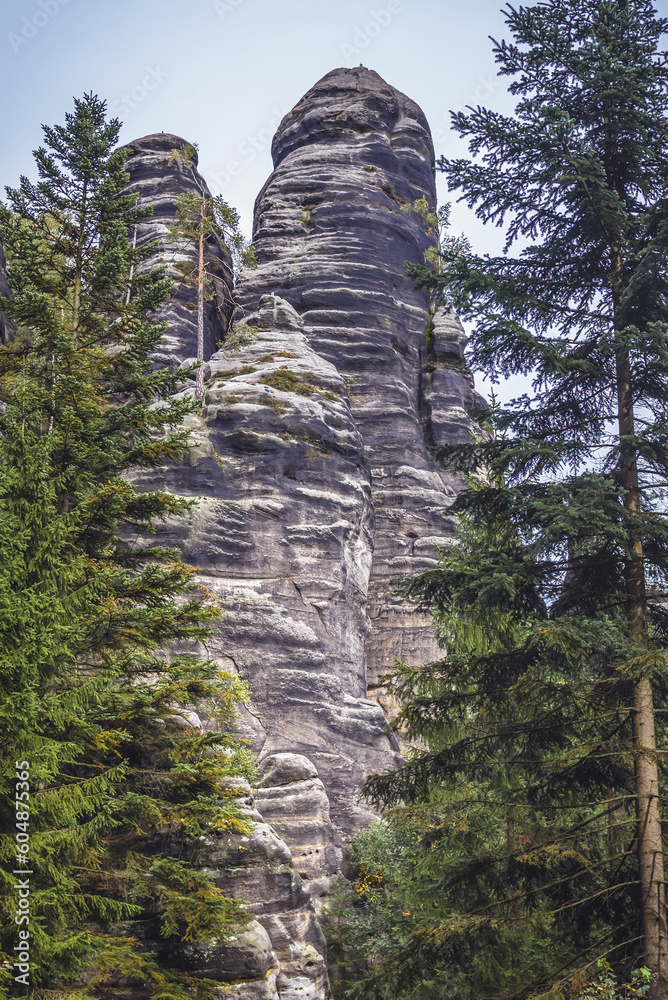 Canvas Prints High rocks in Adrspach-Teplice Rocks park near Teplice nad Metuji town in Czech Republic