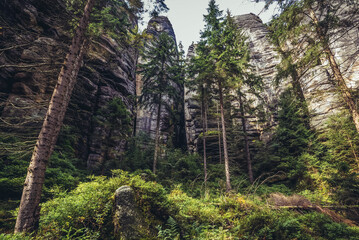 So called Siberia area in Adrspach-Teplice Rocks park near Teplice nad Metuji town in Czech Republic