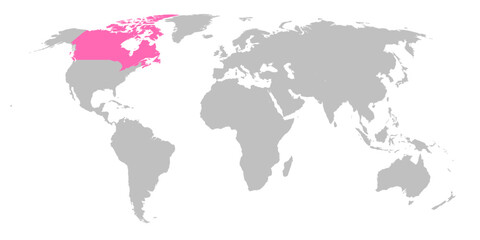 Vector map of the world with the country of Canada highlighted in Pink on grey white background.