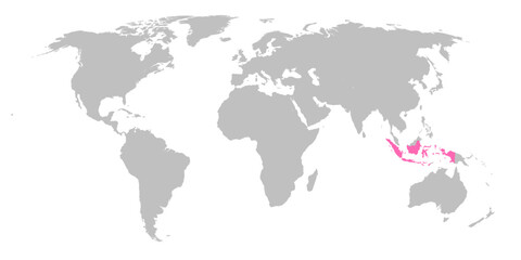 Vector map of the world with the country of Indonesia highlighted in Pink on grey white background. © Map Graphics