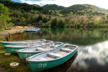 Obraz premium 栃木県日光市 新緑の湯ノ湖の朝