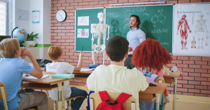 Caucasian teacher in smart clothes with model of human skeleton explaining body parts to pupils at elementary school. Science and biology at modern educational system.