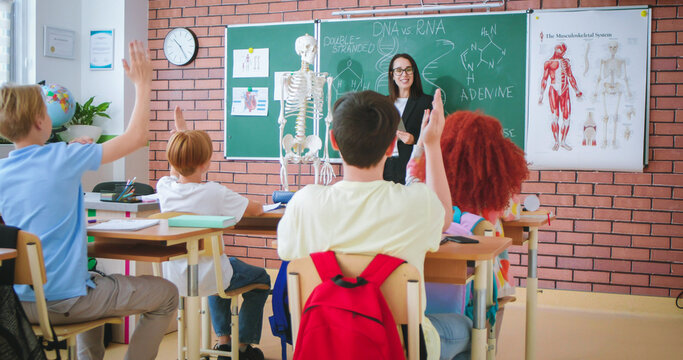 Positive woman using anatomy skeleton model to teach preschool pupils. Children sitting at desks and holding their arms raised for answering questions during lesson.