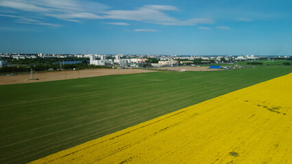 Obraz premium Border of two fields. Blooming yellow rapeseed and cereal sprouts. A city is visible on the horizon. Aerial photography.