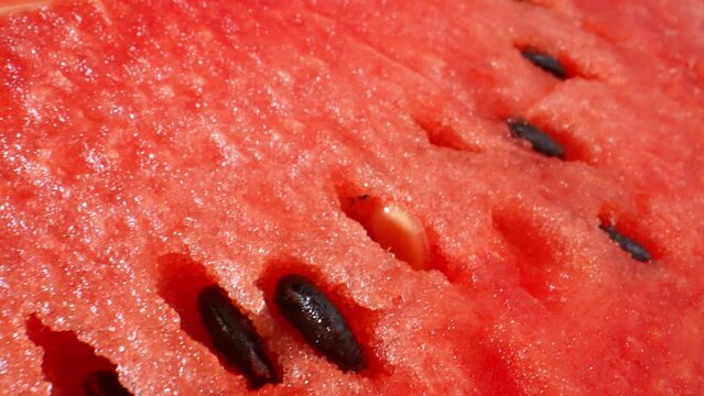 Macro video of watermelon with probe lens reveals its vibrant red flesh, dotted with black seeds. The lens captures intricate details, showcasing the fruit's refreshing. Macro dolly shot. 4K HDR