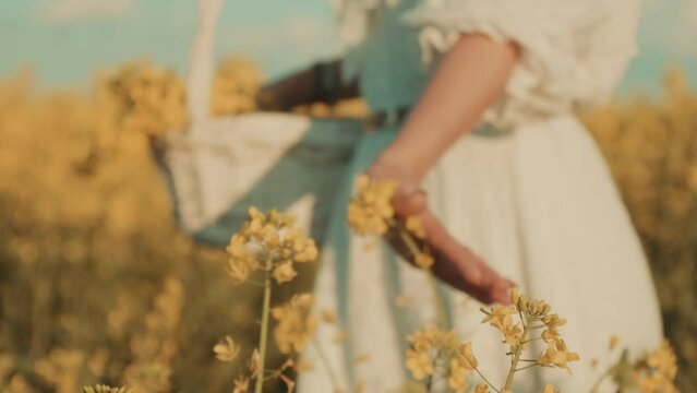 Beautiful young woman in white dress on yellow flower meadow in sunset