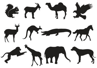 Vector Animals silhouette collection template