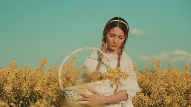 Beautiful young woman in white dress on yellow flower meadow in sunset