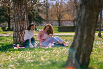 Long distance shot of two beautiful girls studying together in the park, on a beautiful sunny day