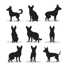 Chihuahua small dog vector icons and silhouettes. Set of illustrations in different poses.